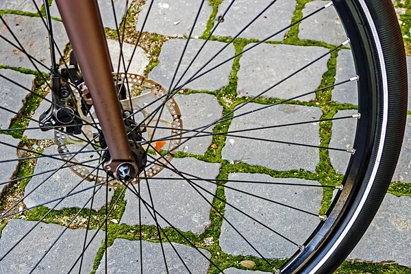 Roda de bicicleta. Detalhe 14 — Fotografia de Stock