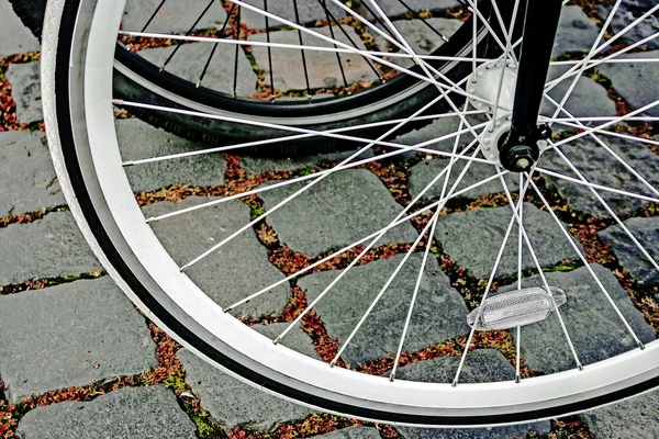 自行车的轮子。细节 21 — 图库照片