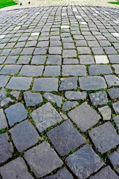 Dlážděným chodníkem z krychlových kameny 5 — Stock fotografie