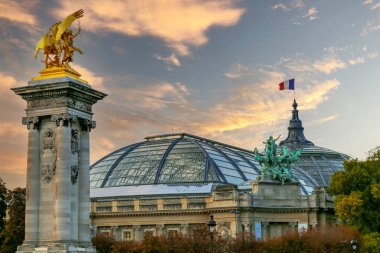 Paris, Fransa 'daki Grand Palais manzarası. Köprü Alexandre III' ten..