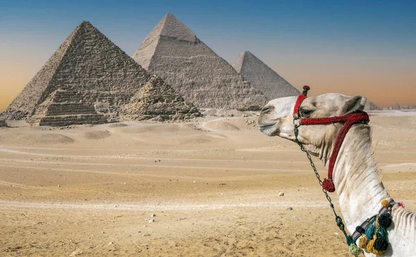 Panoramautsikt Med Platsen För Stora Pyramiderna Giza Necropolis Pyramid Cheops — Stockfoto