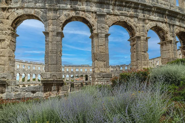 Pula Arena Amphithéâtre Romain Seul Qui Reste Qui Quatre Tours — Photo
