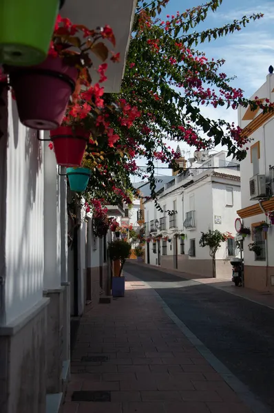 Eski şehir Estepona 'da renkli saksıları olan tipik bir cadde. Estepona, Endülüs, İspanya