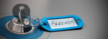parola korumalı, internet güvenlik