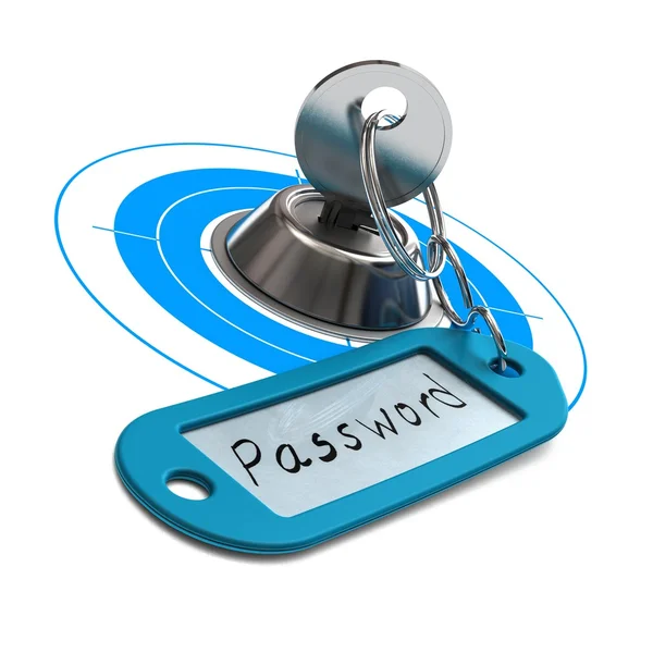 parola korumalı, internet güvenlik