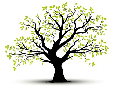 Vecor tree, green foliage clipart