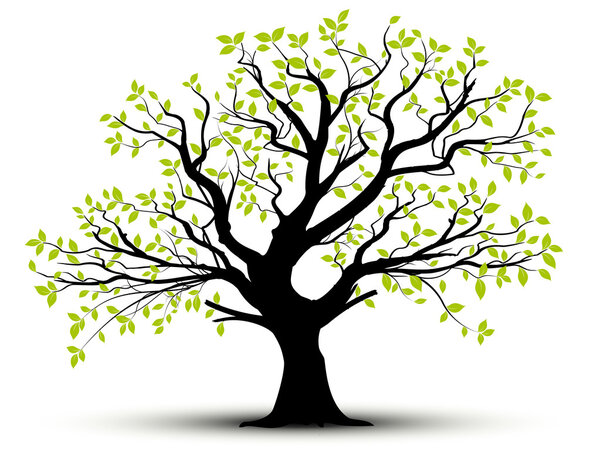 Vecor tree, green foliage — Stock Vector