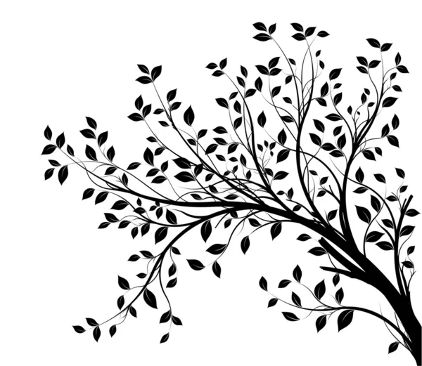 Vector tree branch, black silhouette — Stock Vector