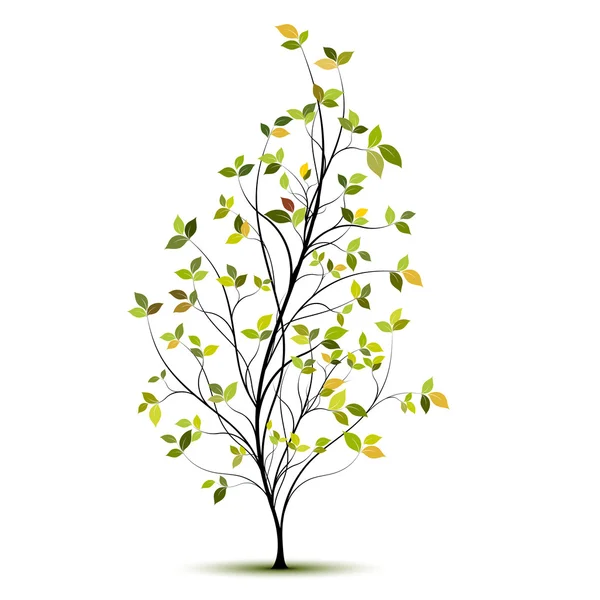 Young tree with shadow over white, vector — Stock Vector