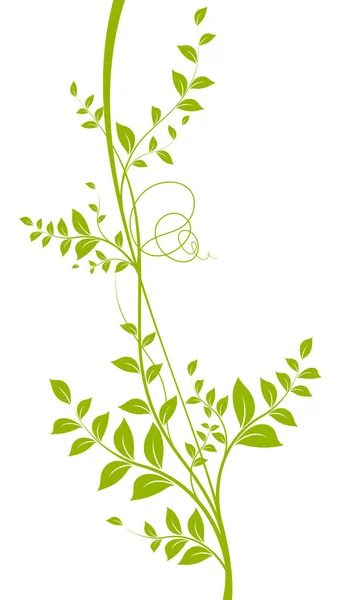 Vector decorative plant, green color over white — Stock Vector