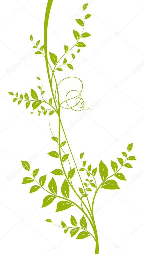 Vector decorative plant, green color over white