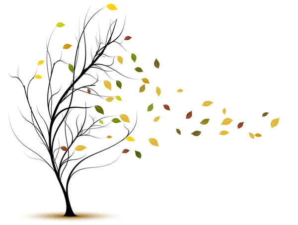 Vector tree in autumn — Stock Vector