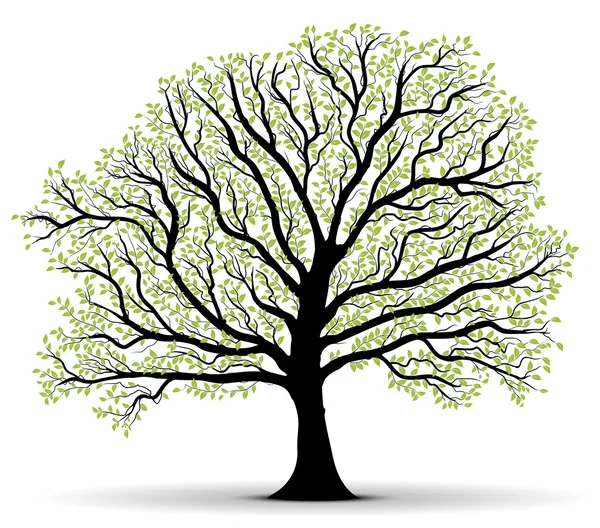 Symbole de protection de l'environnement, grand arbre — Image vectorielle