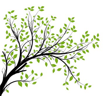 vektör - dekoratif şube siluet vektör
