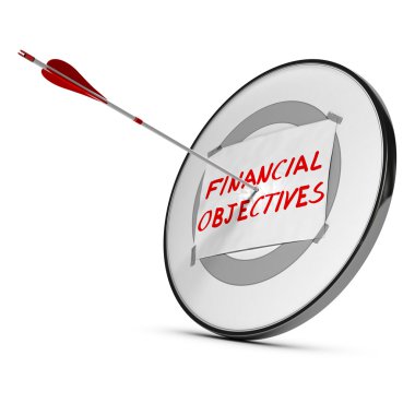 Finansal hedefleri kavramı elde