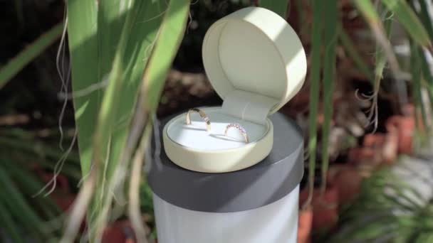 Wedding rings in a box on the background of palm leaves — Stock Video