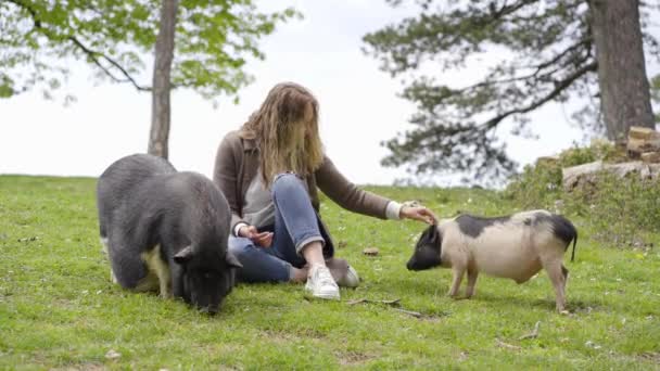 A girl sits in a green clearing and strokes decorative pigs — Stock Video
