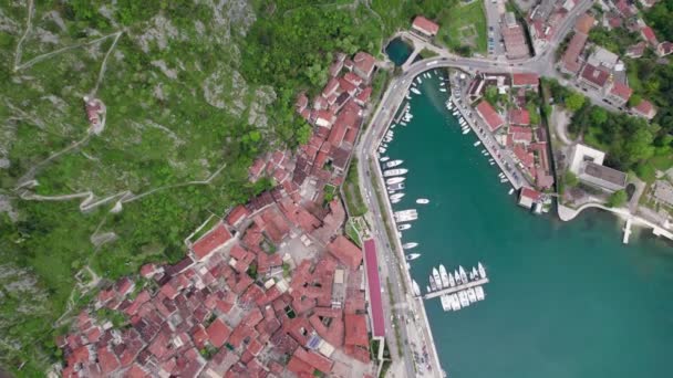 Montenegro Kotor old town and cruise liner aerial photography — ストック動画
