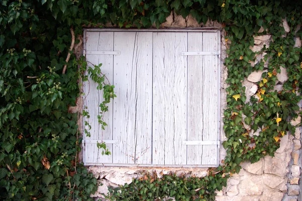 Kleines Holzfenster in Pflanzen, Textur — Stockfoto