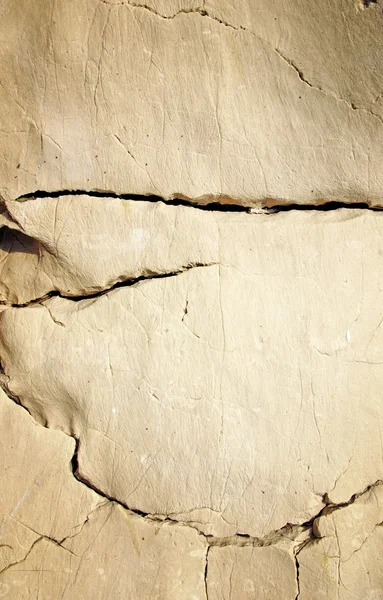 Textura de pedra com rachaduras parece um osso — Fotografia de Stock