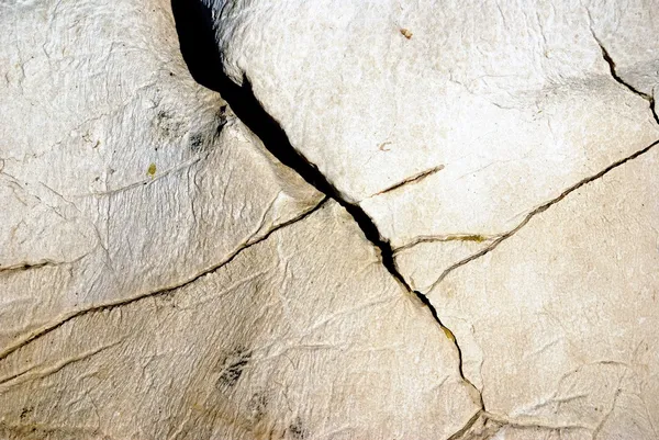 Textura de piedra con grietas parece un hueso — Foto de Stock