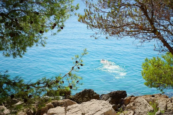 Dykare dykning i det turkosa havet, Kroatien Dalmatien — Stockfoto
