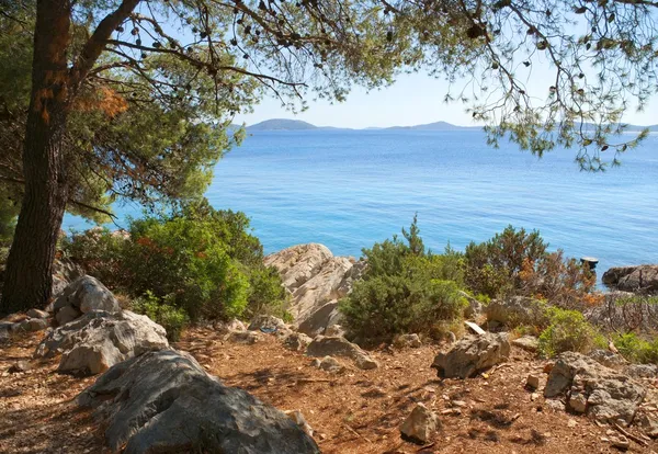 Скелястий берег бірюзове море, Хорватія Далмація — стокове фото
