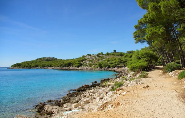 クロアチアのダルマチアの海とビーチの砂浜沿い — ストック写真