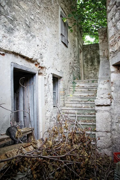 Casa de piedra abandonada patio trasero —  Fotos de Stock