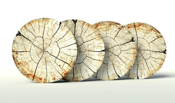 Cross section tree stump, background — Stock Photo, Image