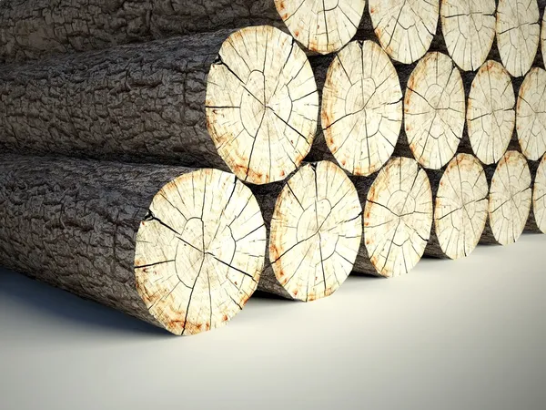 Kivágott fa tuskók, 3d háttér — Stock Fotó