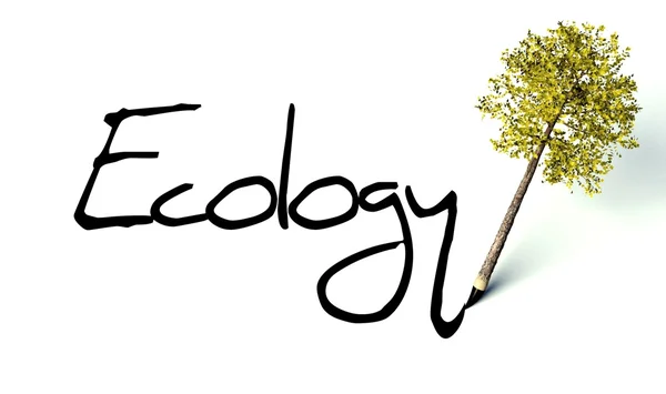 Ekoloji kavramı, ahşap kalem ağaç — Stok fotoğraf