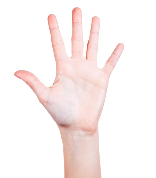 Пальма жіночої руки ізольована на білому — стокове фото