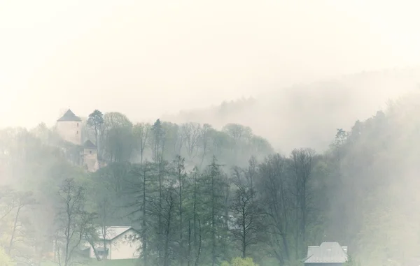 ビンテージ霧の風景、雲の森林 — ストック写真