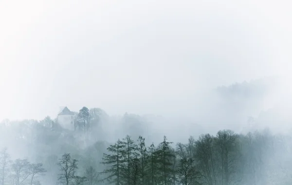 Paysage brumeux vintage, forêt avec nuages — Photo