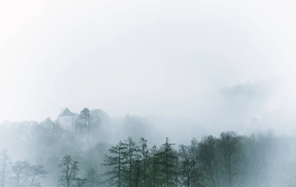 复古雾景观、 森林与云 — 图库照片