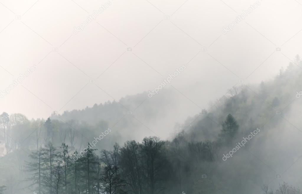 Vintage foggy landscape, forest with clouds