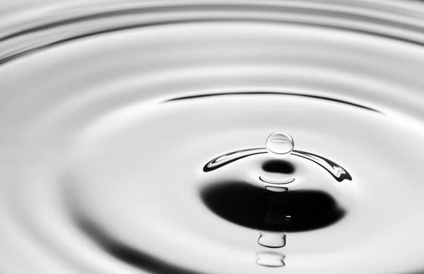 Water drop close up, clear grey background — Stock Photo, Image