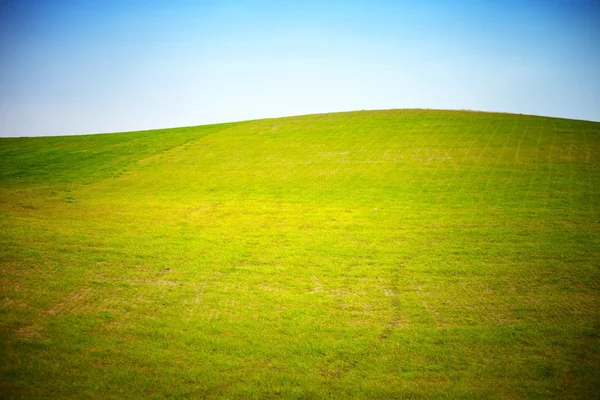 Tom gräset fält med klar blå himmel — Stockfoto