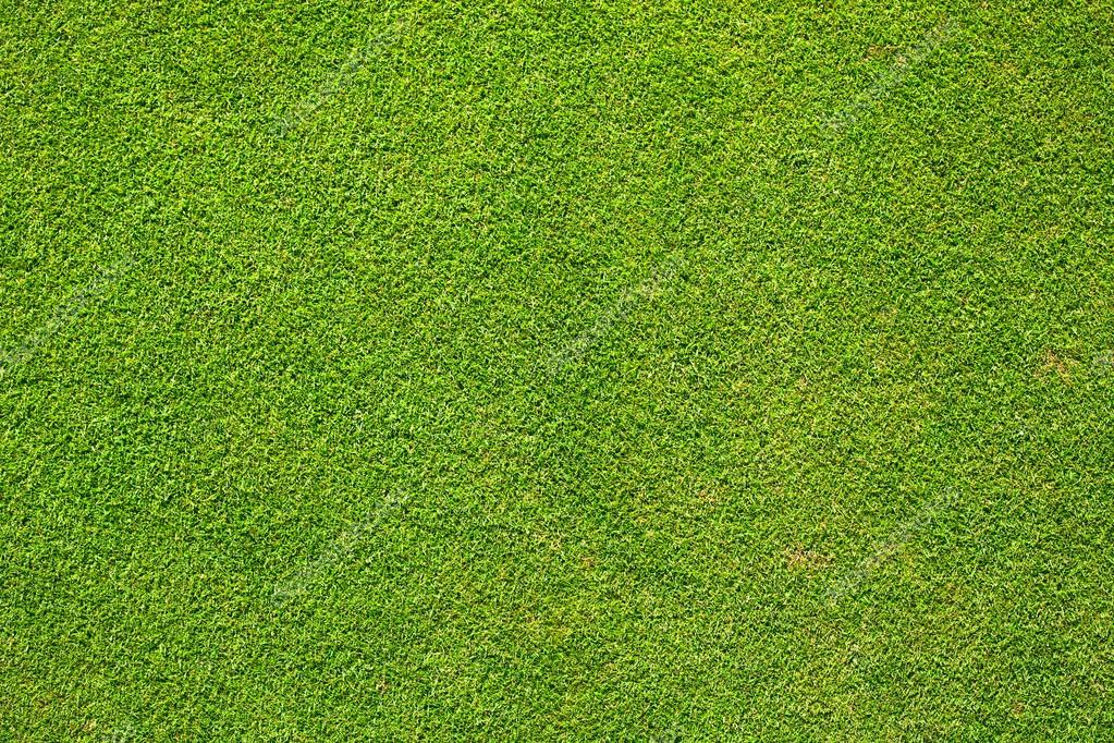 Green grass background texture golf course Stock Photo by ©leszekglasner  33879447