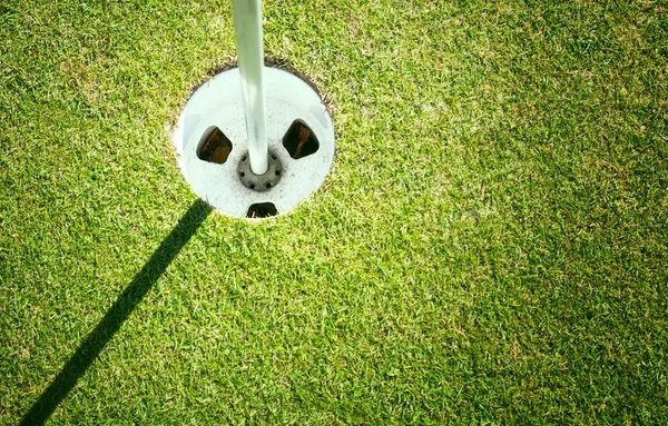 Golf cup på grön bakgrund med copyspace — Stockfoto
