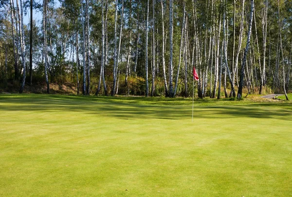 Campo de golf vista al paisaje verde con copa —  Fotos de Stock