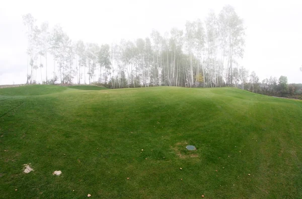 Neblig Golfplatz Landschaft Blick, grünes Feld — Stockfoto