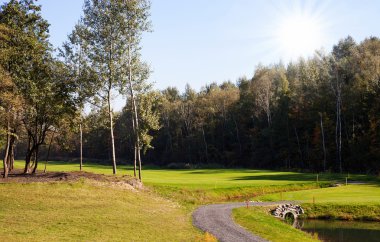 sonbahar kırsal manzara görünümü, yeşil alan yol ile