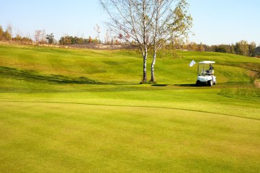 golf arabası araba alanında golf sahası