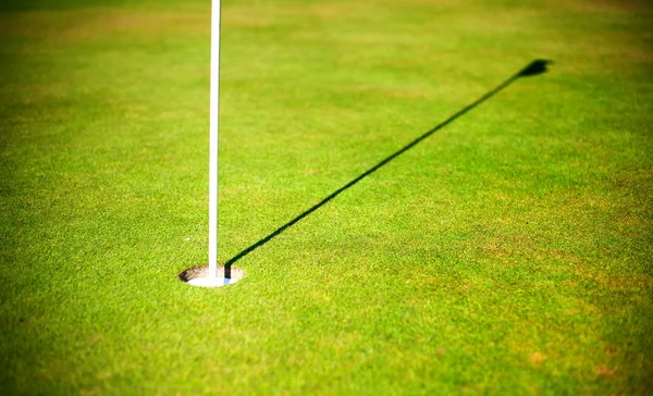 Campo de golfe fundo grama verde com copo — Fotografia de Stock