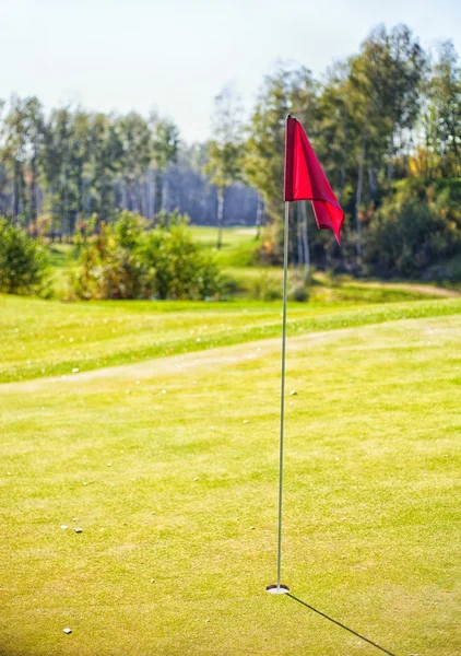 Copo de golfe com bandeira em verde, campo de golfe — Fotografia de Stock