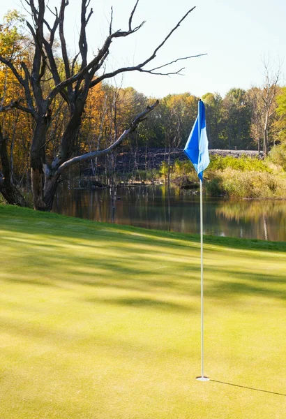 Пейзаж поля для гольфа с зеленой чашкой — стоковое фото