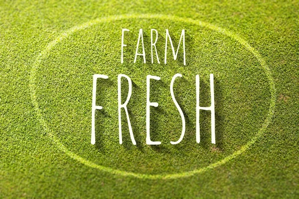 Granja fresca en césped verde cartel ilustración de la agricultura natural —  Fotos de Stock