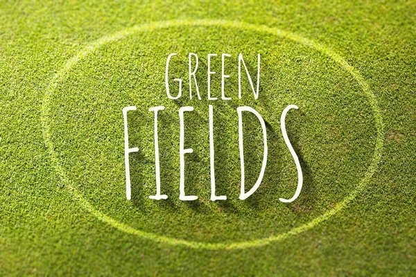 Green fields poster illustration of nature — Stock Photo, Image